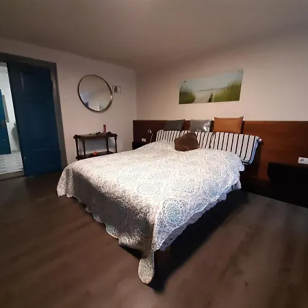 Dogs Baronesse Pasja Grofica *